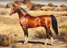 лошадь_картина Логиновой Анны