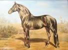 лошадь_картина Логиновой Анны